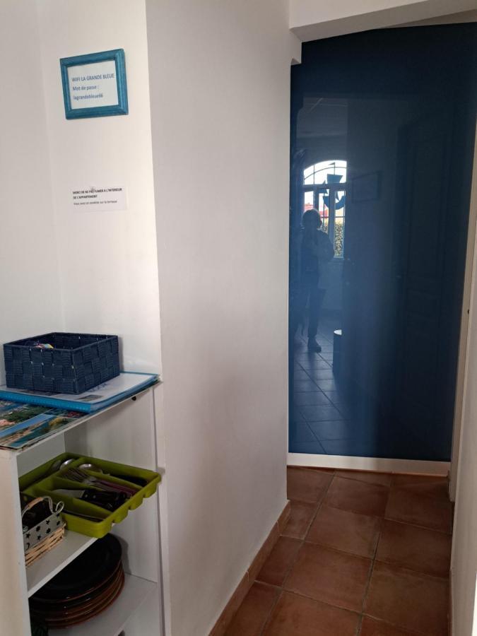 La grande bleue Lejlighed Banyuls-sur-Mer Eksteriør billede